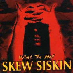 Album-Cover von What The Hell von Skew Siskin.